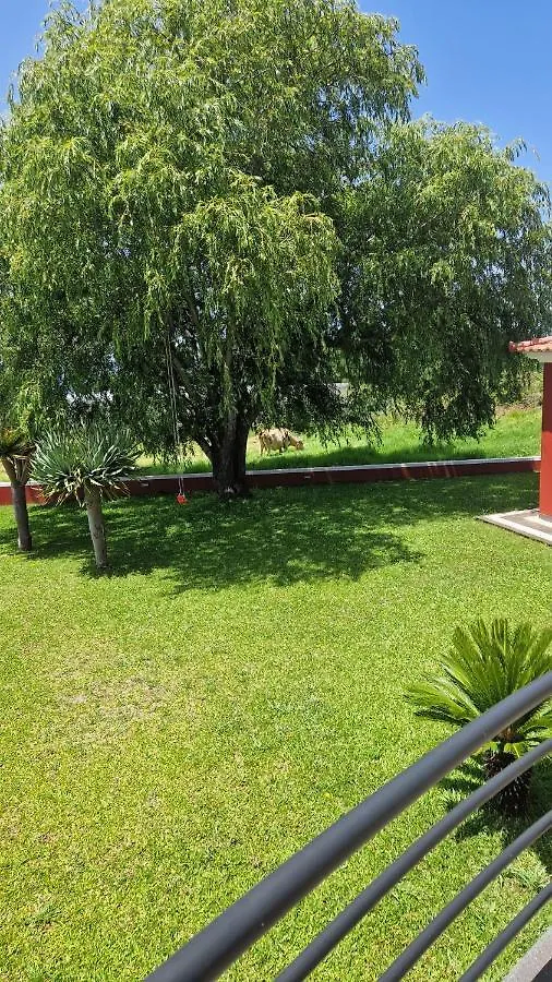 Vila Henrique Country Cottage Fajã da Ovelha 0*,  Portugal